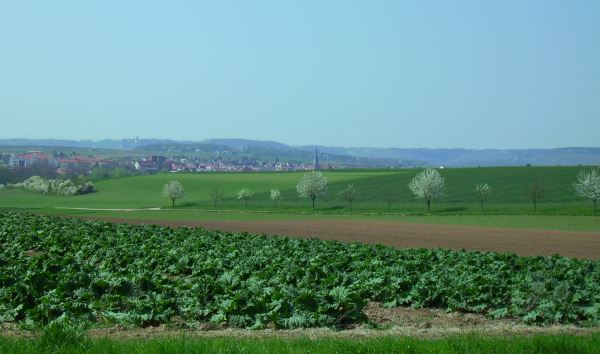 ../Images/Radtour Heilbronn 003.jpg